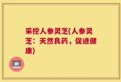 采挖人参灵芝(人参灵芝：天然良药，促进健康)