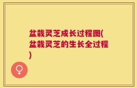 盆栽灵芝成长过程图(盆栽灵芝的生长全过程)