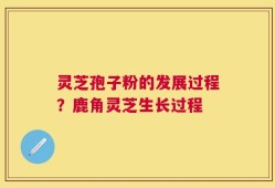 灵芝孢子粉的发展过程？鹿角灵芝生长过程
