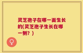 灵芝孢子在哪一面生长的(灵芝孢子生长在哪一侧？)