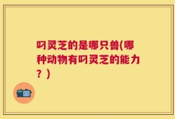 叼灵芝的是哪只兽(哪种动物有叼灵芝的能力？)