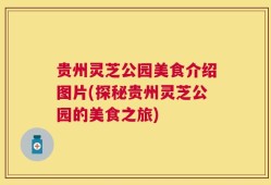 贵州灵芝公园美食介绍图片(探秘贵州灵芝公园的美食之旅)