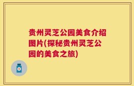 贵州灵芝公园美食介绍图片(探秘贵州灵芝公园的美食之旅)