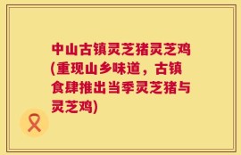 中山古镇灵芝猪灵芝鸡(重现山乡味道，古镇食肆推出当季灵芝猪与灵芝鸡)
