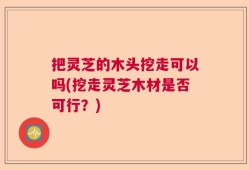 把灵芝的木头挖走可以吗(挖走灵芝木材是否可行？)