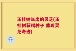 玉桂树长出的灵芝(玉桂树获赠种子 重现灵芝奇迹)