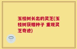 玉桂树长出的灵芝(玉桂树获赠种子 重现灵芝奇迹)