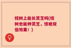 棕树上能长灵芝吗(棕树也能种灵芝，惊艳双倍效果！)