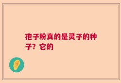 孢子粉真的是灵子的种子？它的