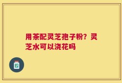 用茶配灵芝孢子粉？灵芝水可以浇花吗