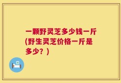 一颗野灵芝多少钱一斤(野生灵芝价格一斤是多少？)