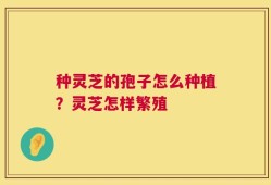 种灵芝的孢子怎么种植？灵芝怎样繁殖