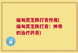 缅甸灵芝跌打膏作用(缅甸灵芝跌打膏：神奇的治疗药膏)