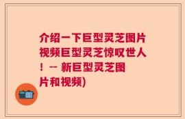 介绍一下巨型灵芝图片视频巨型灵芝惊叹世人！-- 新巨型灵芝图片和视频)