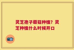 灵芝孢子蘑菇种植？灵芝种植什么时候开口