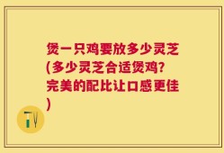 煲一只鸡要放多少灵芝(多少灵芝合适煲鸡？完美的配比让口感更佳)