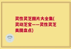 灵性灵芝图片大全集(灵动芝宝——灵性灵芝美图盘点)