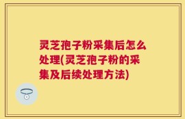 灵芝孢子粉采集后怎么处理(灵芝孢子粉的采集及后续处理方法)