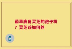 菌草鹿角灵芝的孢子粉？灵芝该如何养