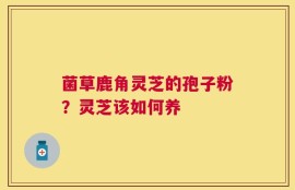 菌草鹿角灵芝的孢子粉？灵芝该如何养