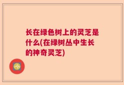 长在绿色树上的灵芝是什么(在绿树丛中生长的神奇灵芝)