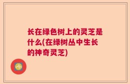 长在绿色树上的灵芝是什么(在绿树丛中生长的神奇灵芝)