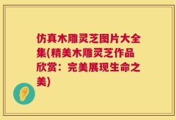 仿真木雕灵芝图片大全集(精美木雕灵芝作品欣赏：完美展现生命之美)