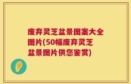 废弃灵芝盆景图案大全图片(50幅废弃灵芝盆景图片供您鉴赏)