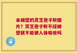 未破壁的灵芝孢子粉图片？灵芝孢子粉不经破壁就不能被人体吸收吗