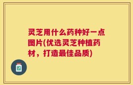 灵芝用什么药种好一点图片(优选灵芝种植药材，打造最佳品质)