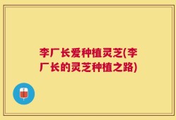 李厂长爱种植灵芝(李厂长的灵芝种植之路)