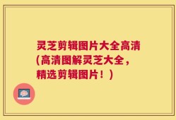 灵芝剪辑图片大全高清(高清图解灵芝大全，精选剪辑图片！)