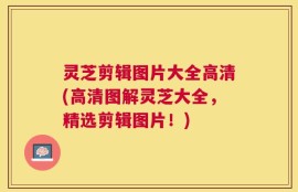 灵芝剪辑图片大全高清(高清图解灵芝大全，精选剪辑图片！)