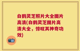 白鹤灵芝照片大全图片高清(白鹤灵芝图片高清大全，惊叹其神奇功效)