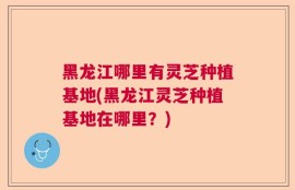 黑龙江哪里有灵芝种植基地(黑龙江灵芝种植基地在哪里？)