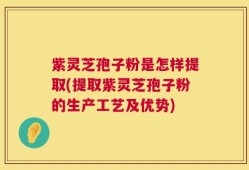 紫灵芝孢子粉是怎样提取(提取紫灵芝孢子粉的生产工艺及优势)