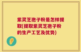 紫灵芝孢子粉是怎样提取(提取紫灵芝孢子粉的生产工艺及优势)