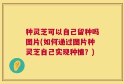 种灵芝可以自己留种吗图片(如何通过图片种灵芝自己实现种植？)