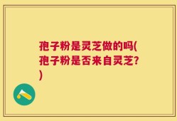 孢子粉是灵芝做的吗(孢子粉是否来自灵芝？)