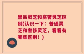 黑吕灵芝和高奢灵芝区别(认识一下：普通灵芝和奢侈灵芝，看看有哪些区别！)