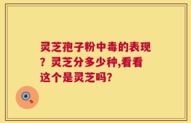 灵芝孢子粉中毒的表现？灵芝分多少种,看看这个是灵芝吗？