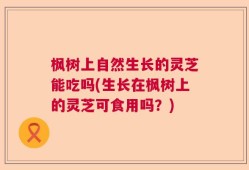 枫树上自然生长的灵芝能吃吗(生长在枫树上的灵芝可食用吗？)