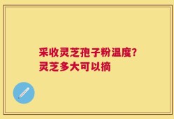 采收灵芝孢子粉温度？灵芝多大可以摘