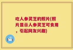 吃人参灵芝的照片(照片显示人参灵芝可食用，引起网友兴趣)