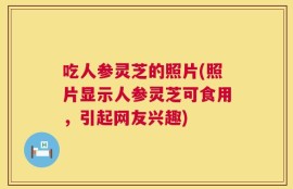 吃人参灵芝的照片(照片显示人参灵芝可食用，引起网友兴趣)