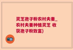 灵芝孢子粉农村夫妻_农村夫妻种植灵芝 收获孢子粉致富)