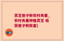 灵芝孢子粉农村夫妻_农村夫妻种植灵芝 收获孢子粉致富)