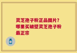 灵芝孢子粉正品图片？哪里买破壁灵芝孢子粉最正宗