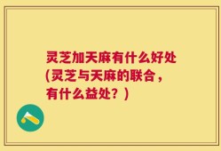 灵芝加天麻有什么好处(灵芝与天麻的联合，有什么益处？)