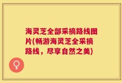海灵芝全部采摘路线图片(畅游海灵芝全采摘路线，尽享自然之美)